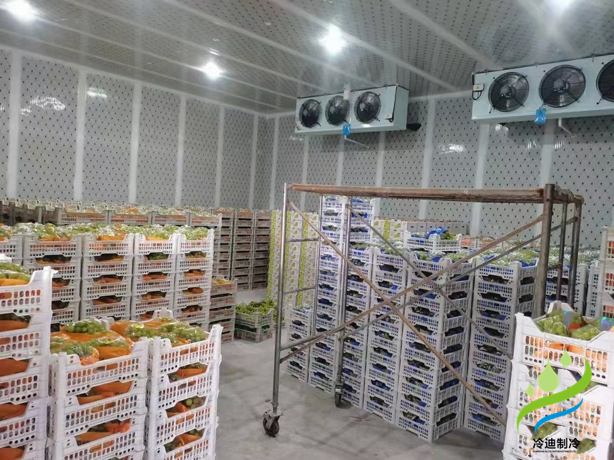 建造氣調(diào)冷庫(kù)多大一間比較合適？