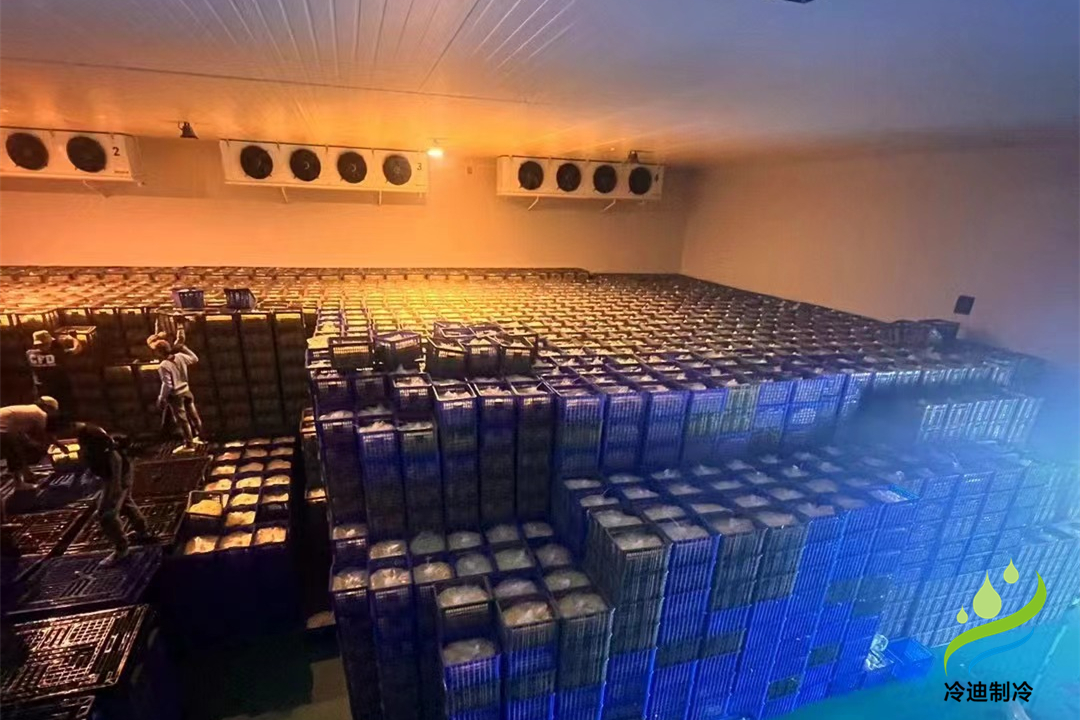 1000立方冷庫可以存多少噸？用多大制冷設(shè)備？